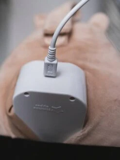 Peluche Aide Au Sommeil Rechargeable TOMMEE TIPPEE Bennie L’ourson Beige - Tommee Tippee -Petit Monde Promos Boutique peluche aide au sommeil rechargeable tommee tippee bennie lourson 4