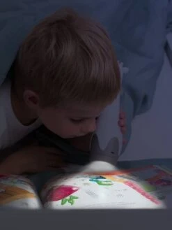 Veilleuse Torche Gina La Girafe - ZAZU Gris - Toutes Les Marques 10 Veilleuse Torche Gina La Girafe - ZAZU Gris - Toutes Les Marques -Petit Monde Promos Boutique veilleuse torche gina la girafe zazu 4